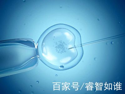 生殖内分泌专家